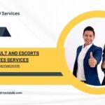 SEO for Adult and Escorts websites Services