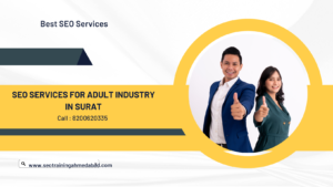 SEO Services For Adult Industry in Surat